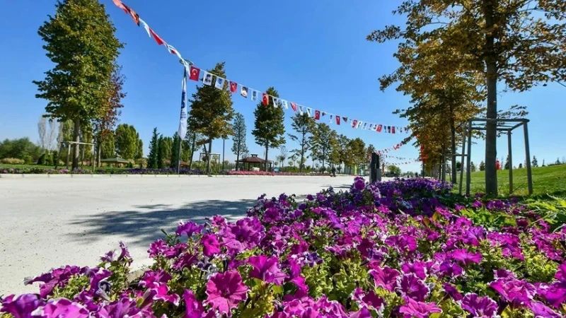 ATA Çiftliği (BAKAP) Karavan ve Çadır Kamp Alanı - fotoğraf 7
