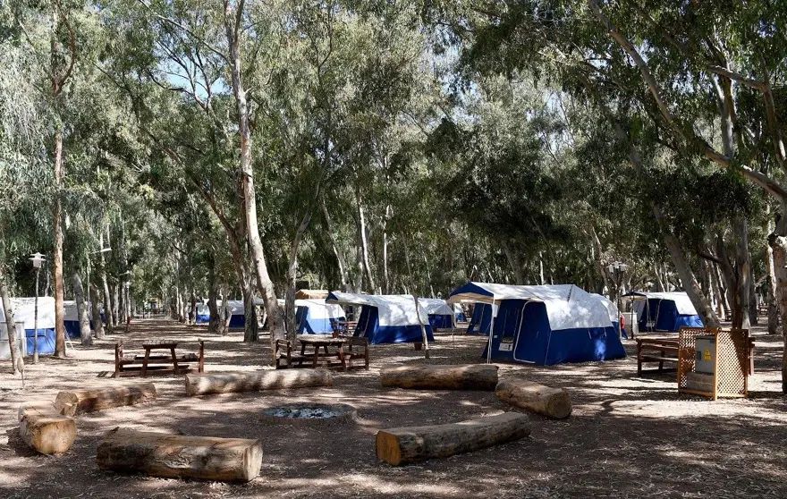 Ada Camping - fotoğraf 2