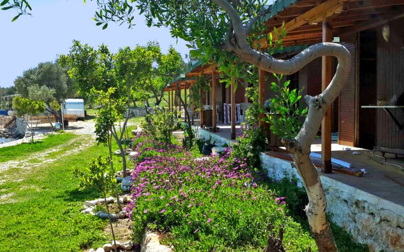 Akçakıl Camping - fotoğraf 3