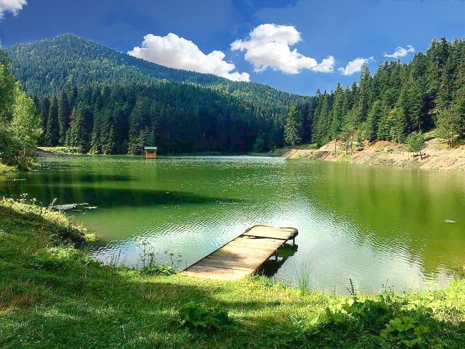 Ayancık Akgöl Yaylası - fotoğraf 6