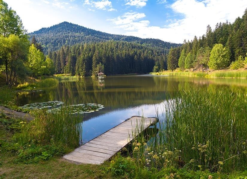 Ayancık Akgöl Yaylası - fotoğraf 9