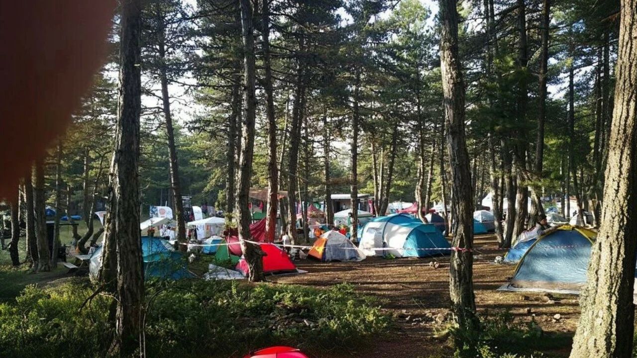 Aluçdağı Tabiat Parkı Kamp Alanı - fotoğraf 2