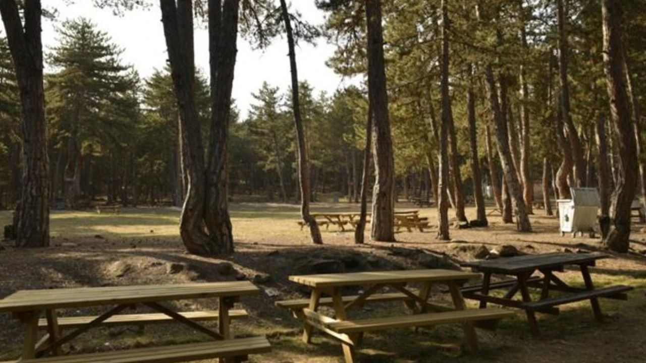 Aluçdağı Tabiat Parkı Kamp Alanı - fotoğraf 4
