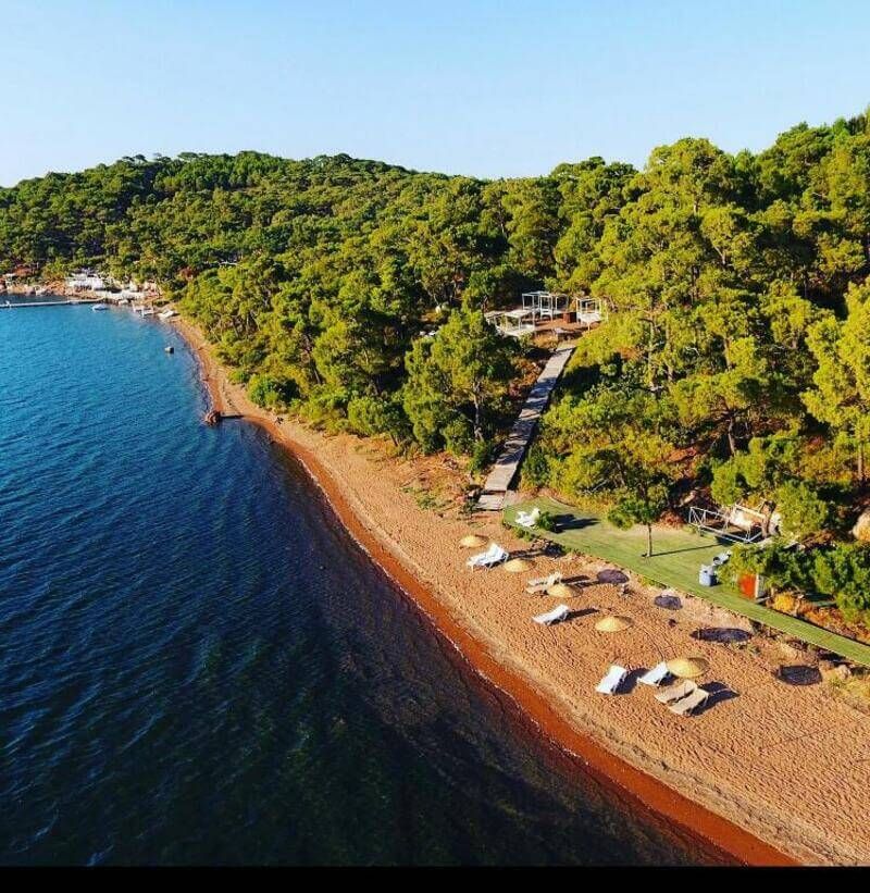 Ayvalık Camping - fotoğraf 3
