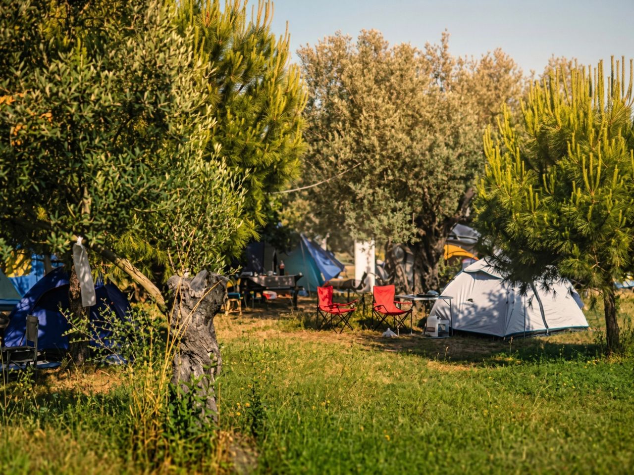 Bademli Deniz Kamp - fotoğraf 2