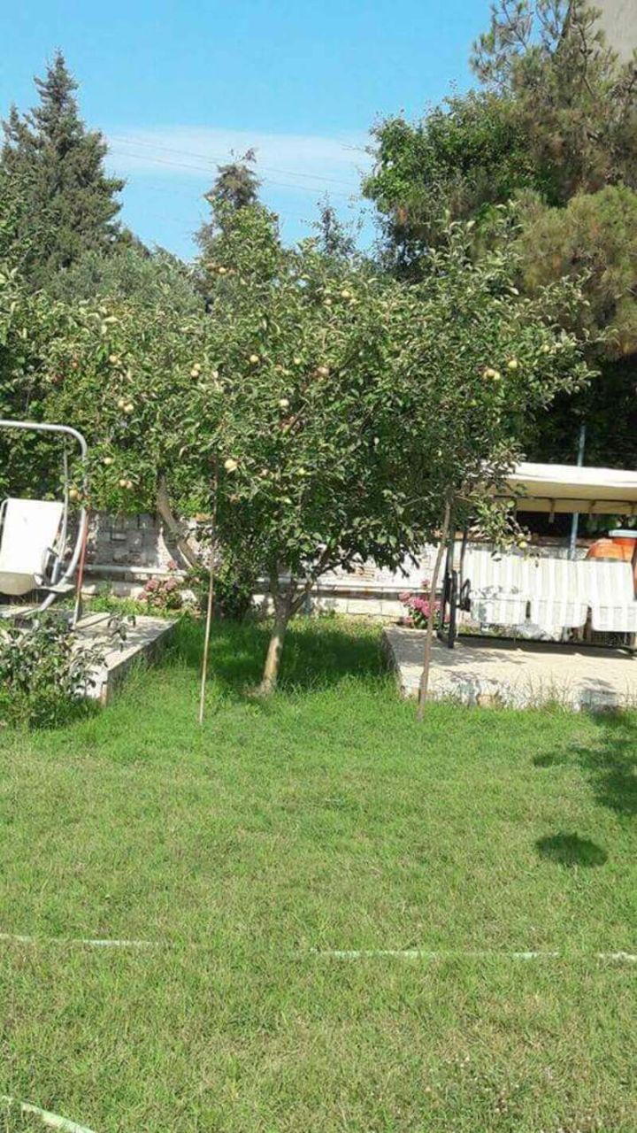 Berfin Pansiyon ve Kamping - fotoğraf 3