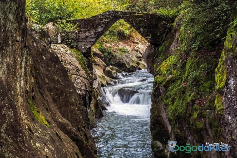 Çamaş Kanyonu - fotoğraf 9