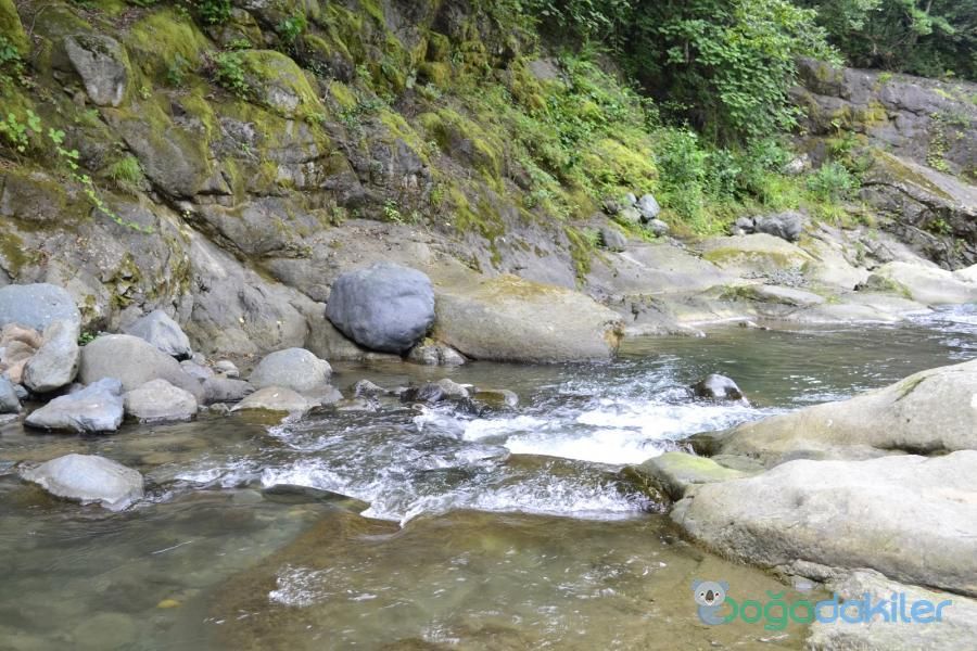 Çamaş Kanyonu - fotoğraf 10