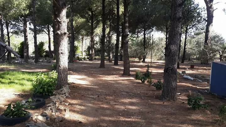 İnek Obası Çadır Kamp