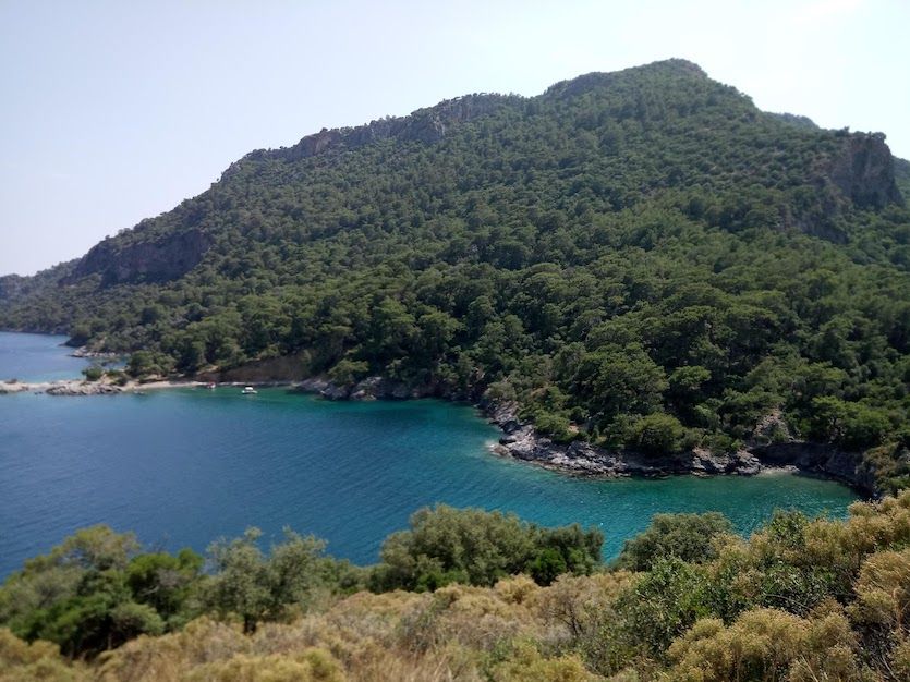 Darboğaz Koyu - fotoğraf 5