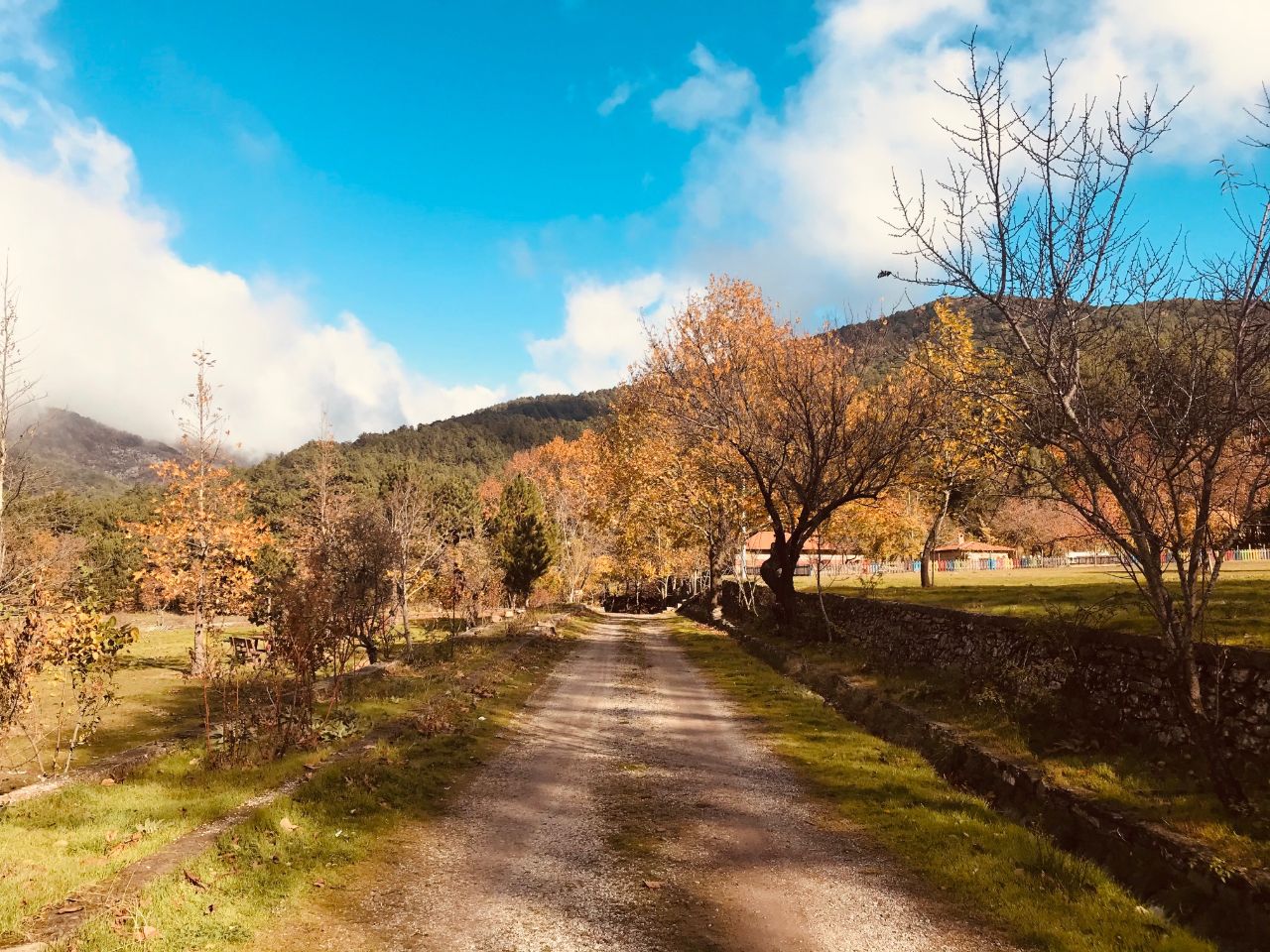 Darıdere Tabiat Parkı - fotoğraf 6