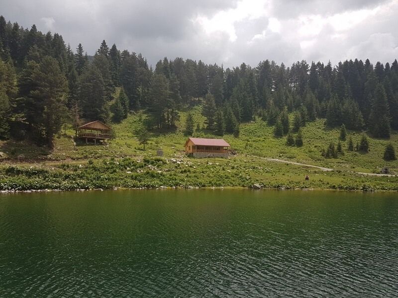 Disharo Yayla Evleri - fotoğraf 3