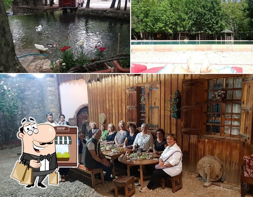 Doğaperest  Kamp Alanı - fotoğraf 2