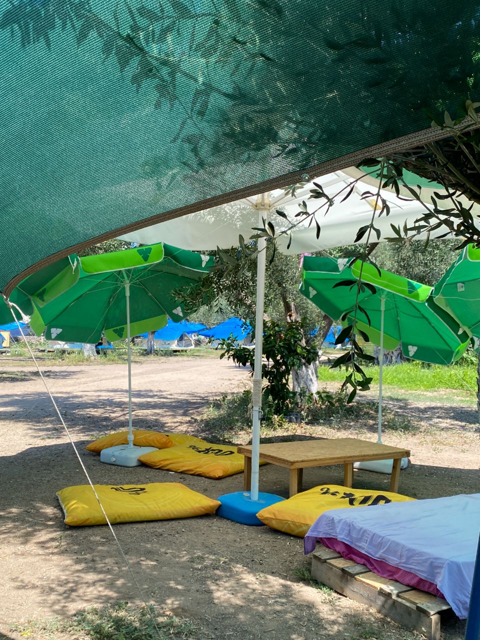 Elysium Garden Assos Bungalow & Glamping - fotoğraf 4