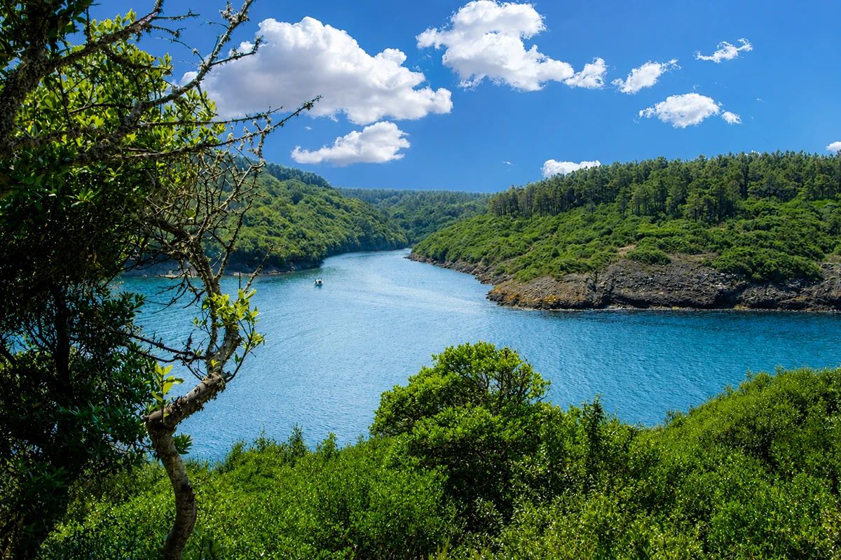 Hamsilos Tabiat Parkı - fotoğraf 6