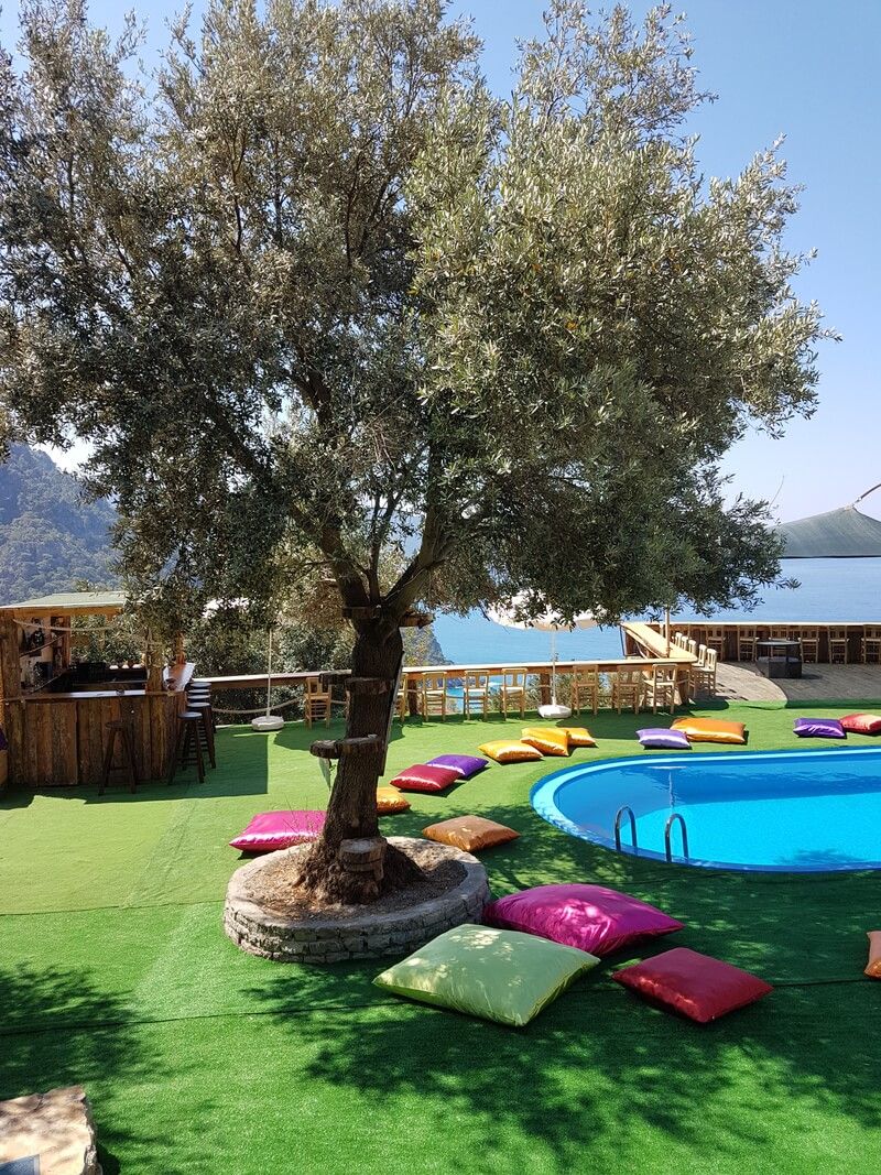 Kabak Shiva Camp - fotoğraf 3
