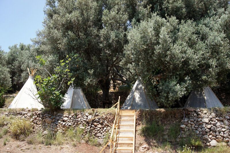 Kabak Shiva Camp - fotoğraf 4