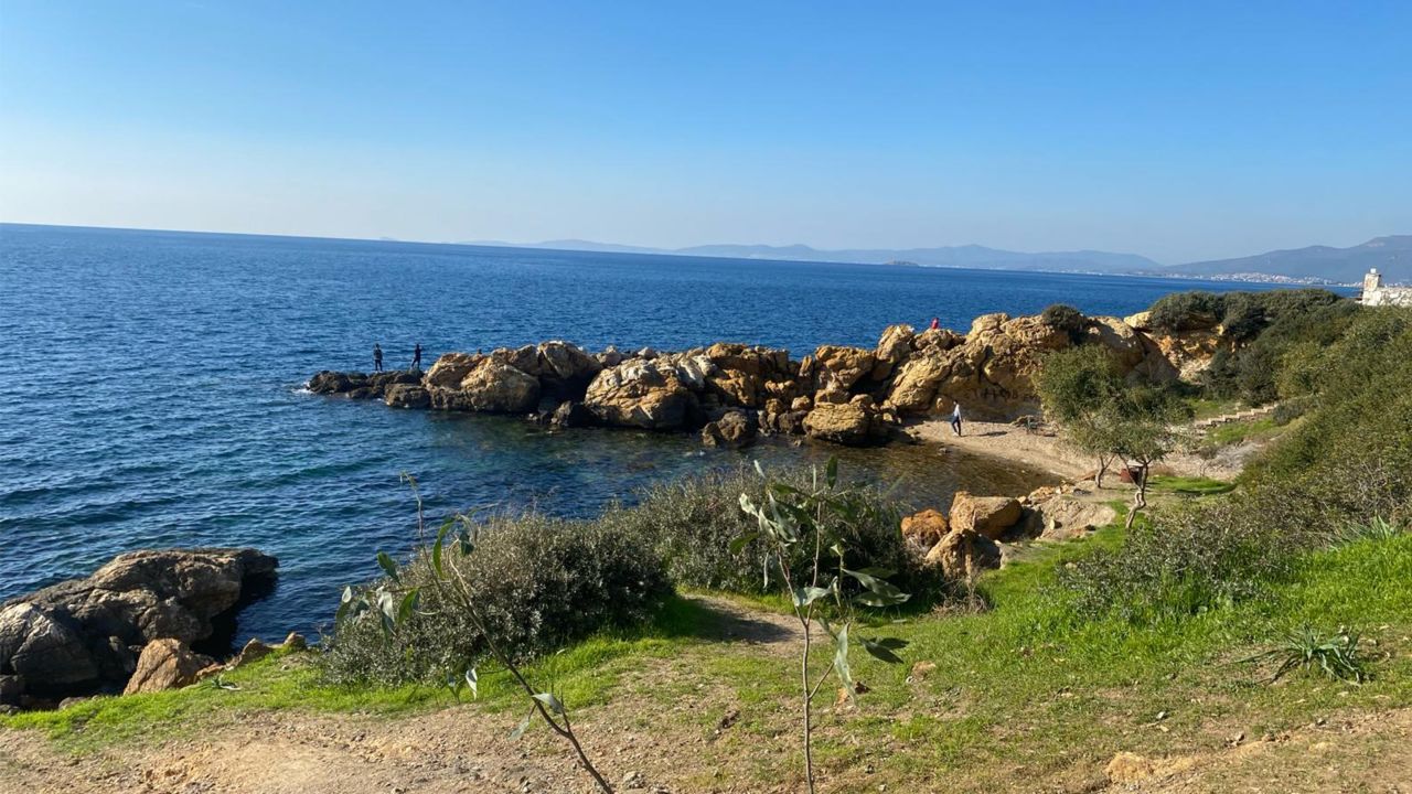Kalemlik Orman Kampı - fotoğraf 6