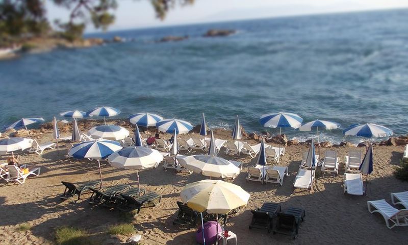 Kalemlik Orman Kampı - fotoğraf 7