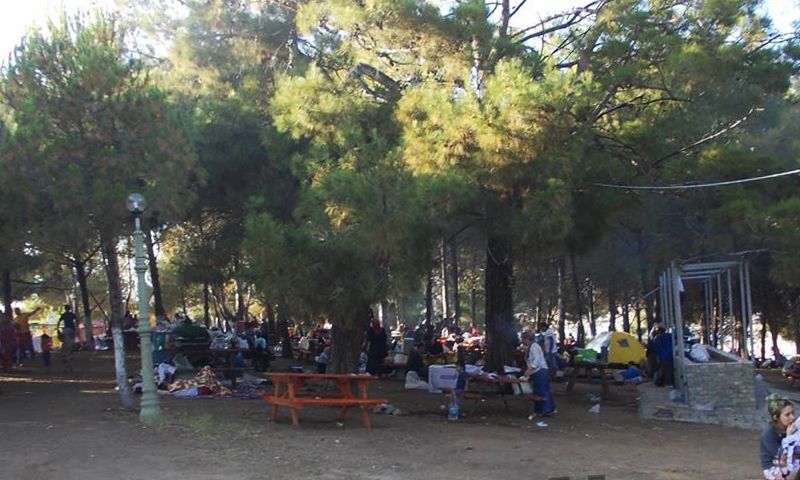 Kalemlik Orman Kampı - fotoğraf 8