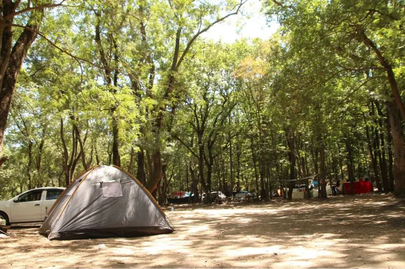 Kastro Çamlıkoy Tabiat Parkı - fotoğraf 6