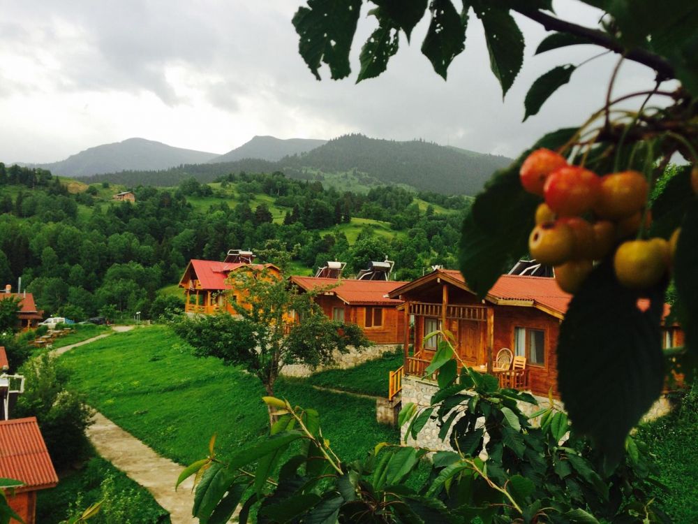 Laşet Bungalov Tatil Köyü - fotoğraf 6