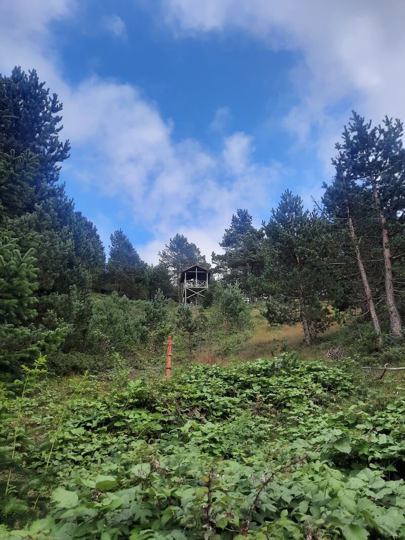 Limni Gölü Tabiat Parkı - fotoğraf 8