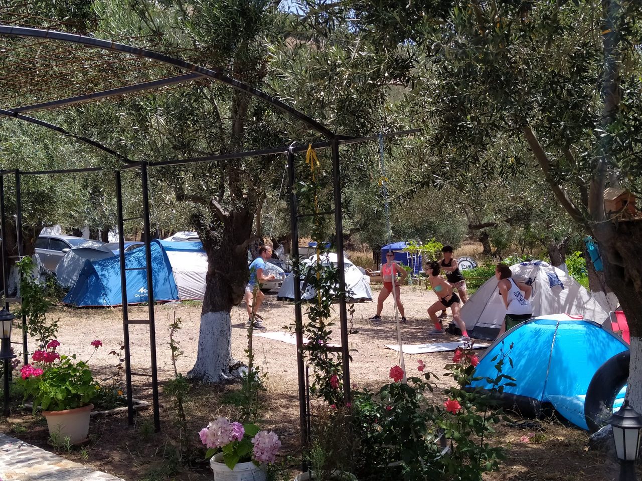 Neverland Camping Assos - fotoğraf 4