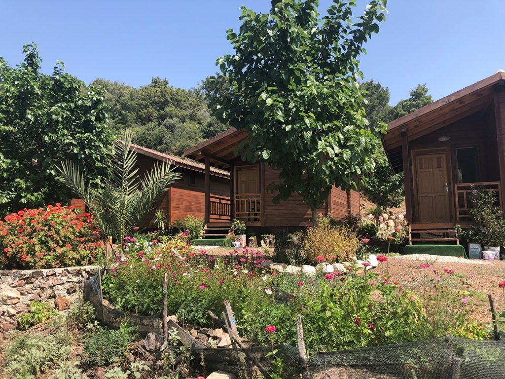 Olimpos Altıntaş Pansiyon