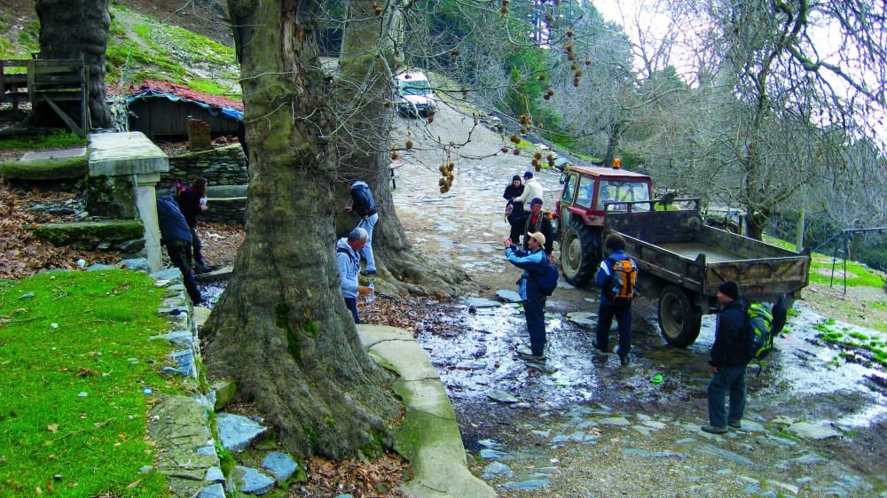 Paşa Yaylası - fotoğraf 3