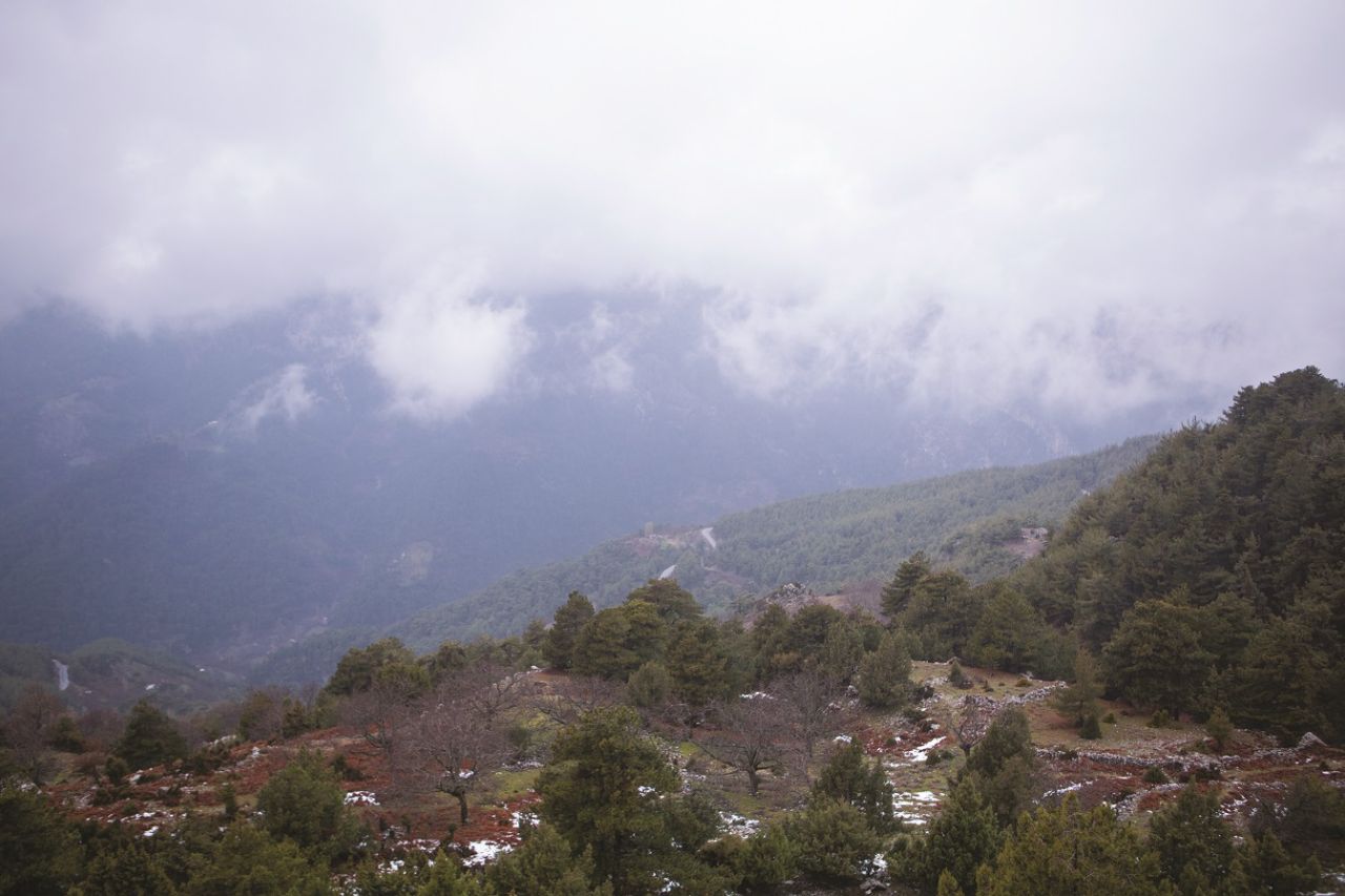Paşa Yaylası - fotoğraf 4