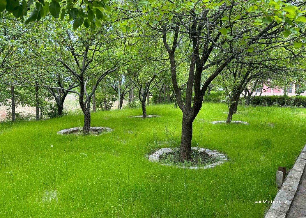 Rikardo Camping - fotoğraf 2