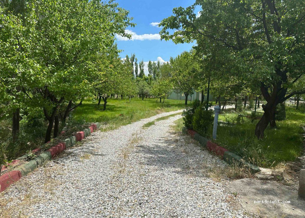 Rikardo Camping - fotoğraf 4