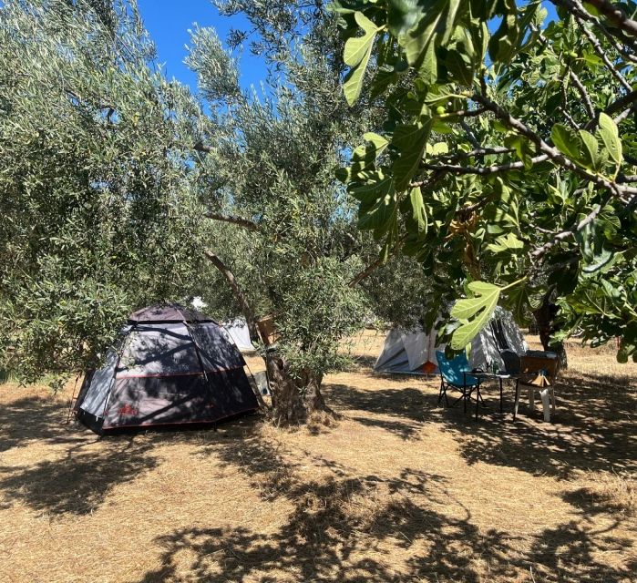 Sincap Kamp - fotoğraf 3