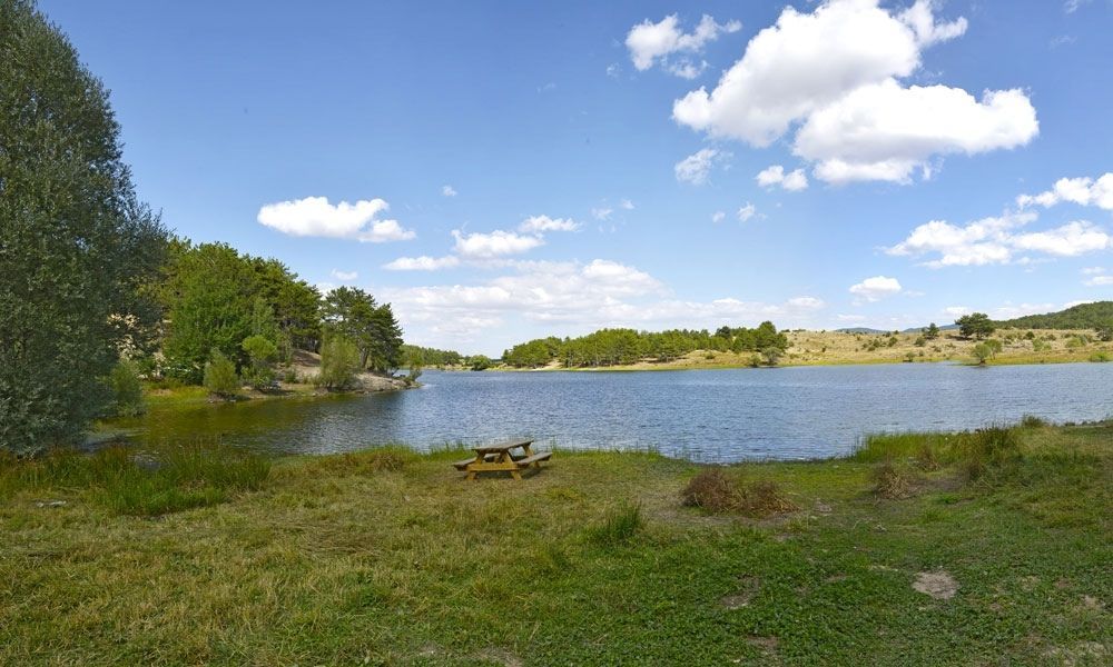 Sorgun Göleti Tabiat Parkı - fotoğraf 8
