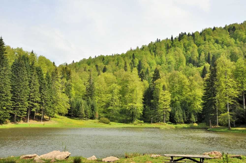 Torkul Yaylası ve Göleti - fotoğraf 5
