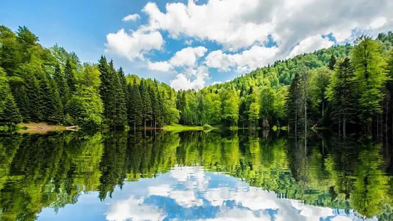 Torkul Yaylası ve Göleti - fotoğraf 6