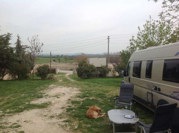 Troia Pension & Camping - fotoğraf 2