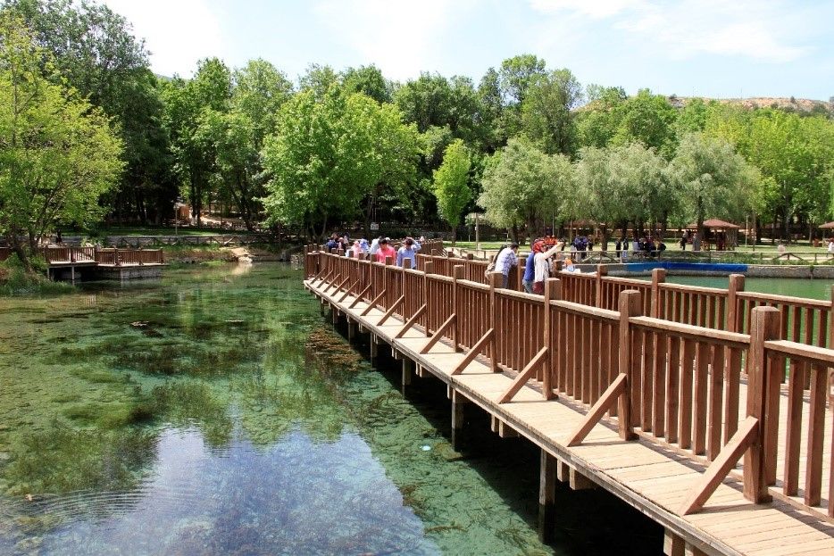 Turgut Özal Tabiat Parkı - fotoğraf 3