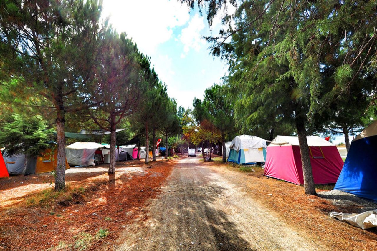 Ünye Çınarsuyu Kamp - fotoğraf 2