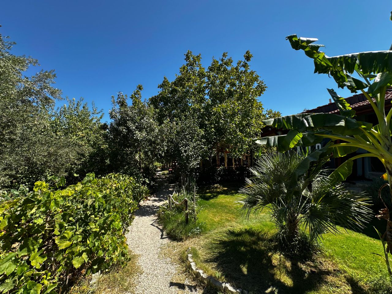 Capo Glamping - fotoğraf 10