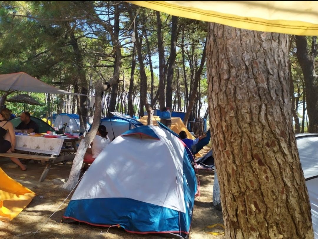 Erikli Camping - fotoğraf 6