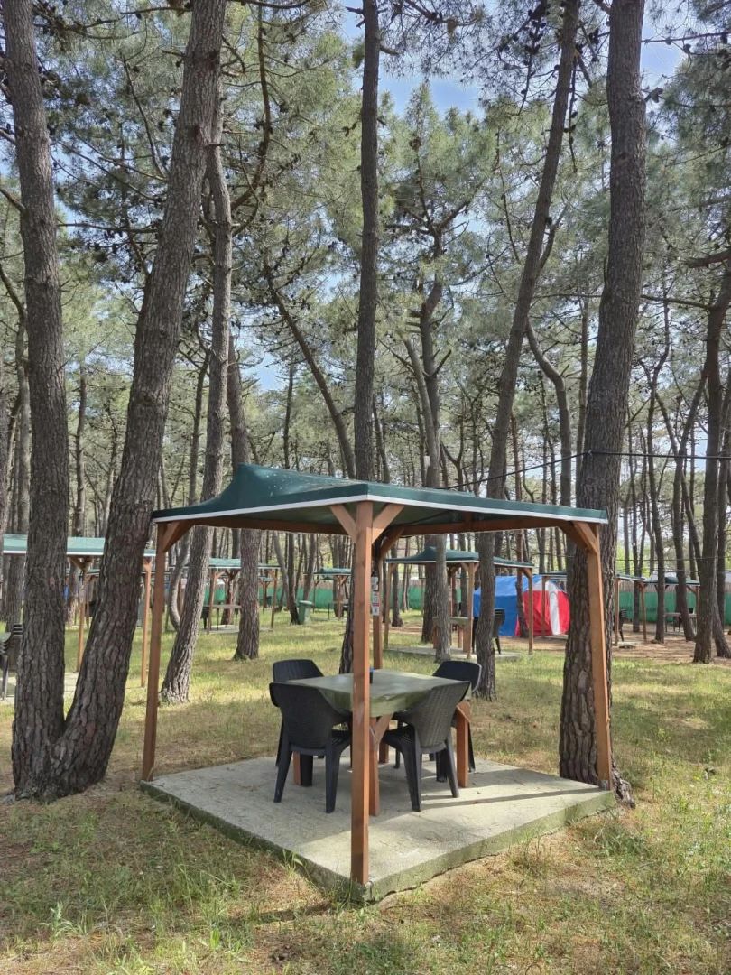 Erikli Camping - fotoğraf 8