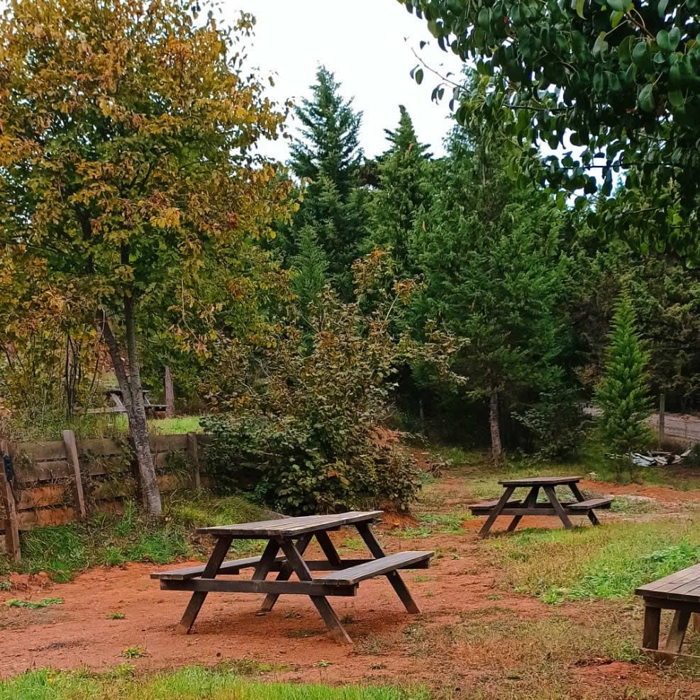 Gelesun Kampland - fotoğraf 6