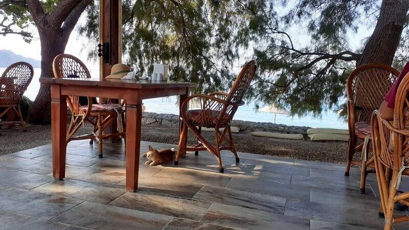 Gülbahar Pansiyon & Camping - fotoğraf 8