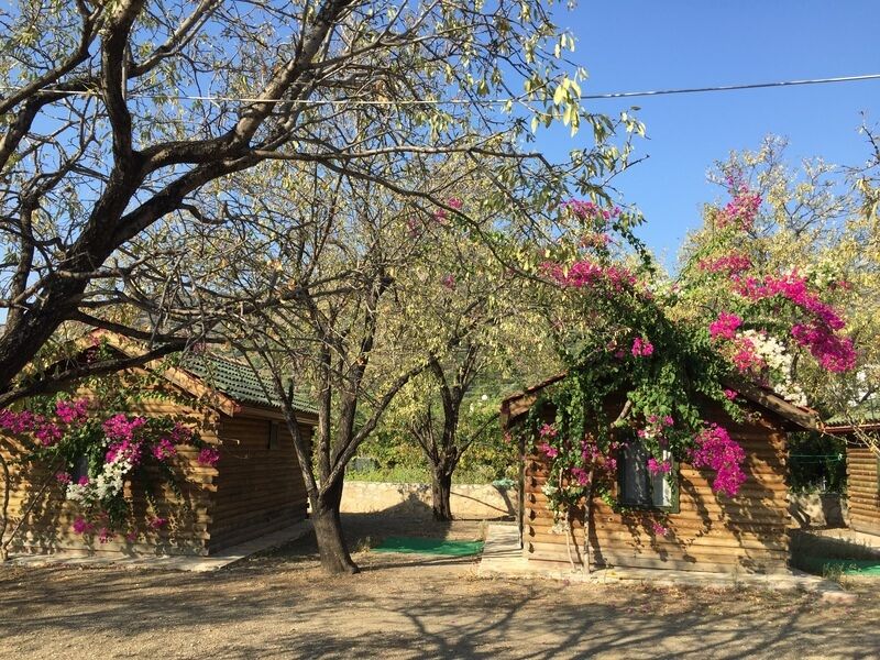Gülbahar Pansiyon & Camping - fotoğraf 9