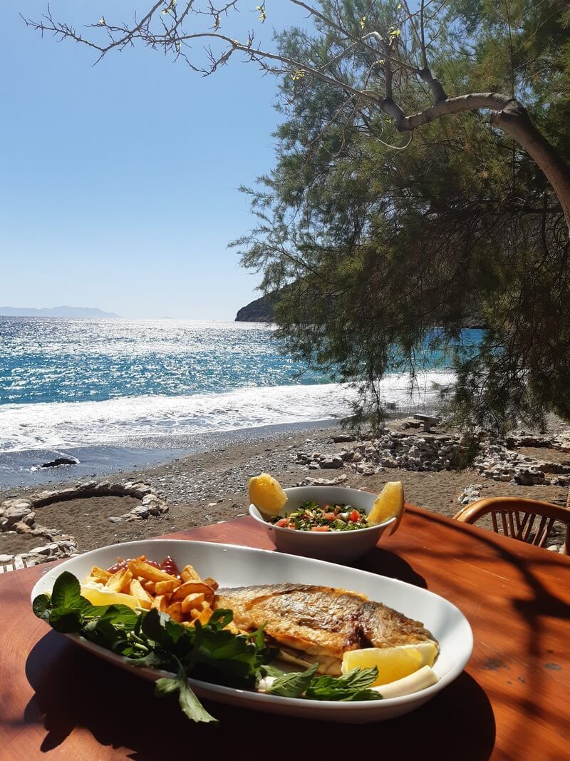Gülbahar Pansiyon & Camping - fotoğraf 10