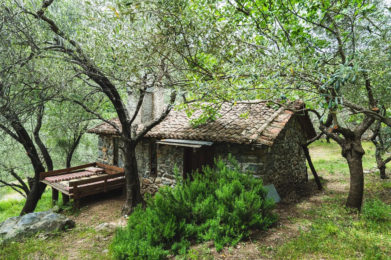 Hızır Kamp - fotoğraf 6