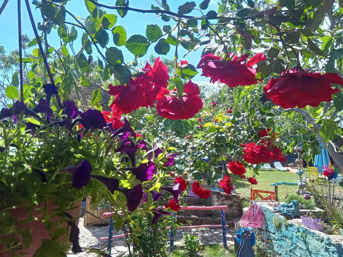 KaraKedi Butik Camping - fotoğraf 7