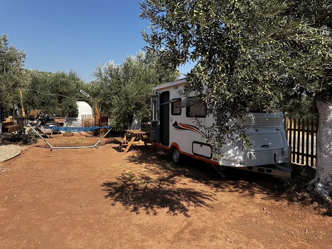 Vamos Camping - fotoğraf 6